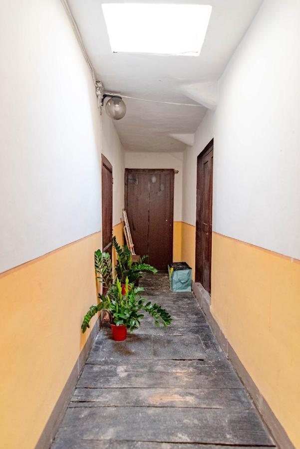 Nella casa del pittore Torino Esterno foto